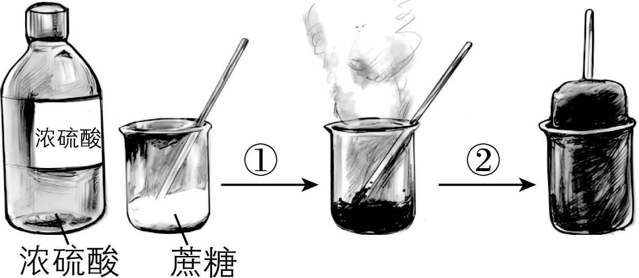 试题资源网 https://stzy.com