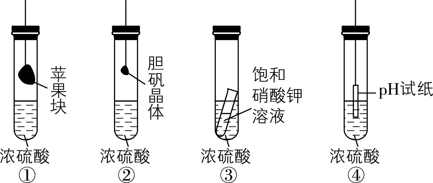 试题资源网 https://stzy.com