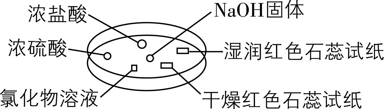 试题资源网 https://stzy.com