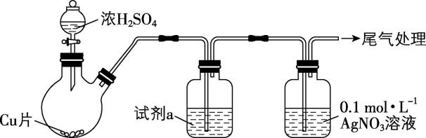 试题资源网 https://stzy.com