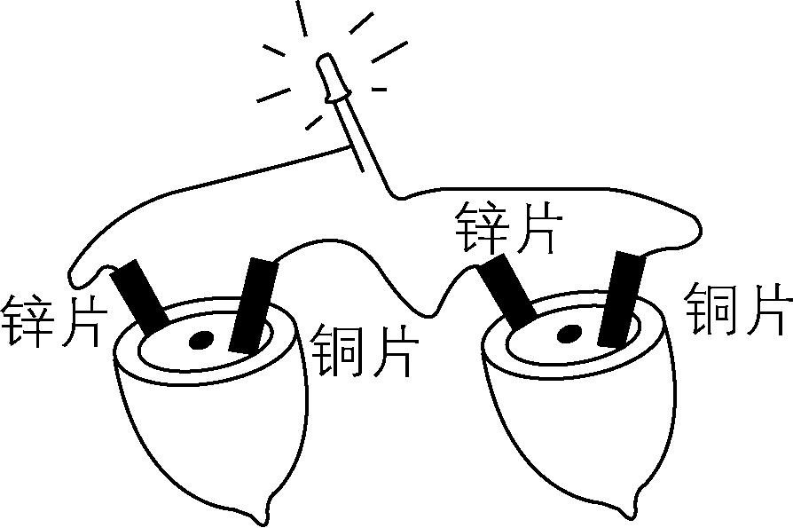 试题资源网 https://stzy.com