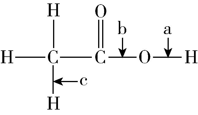 试题资源网 https://stzy.com