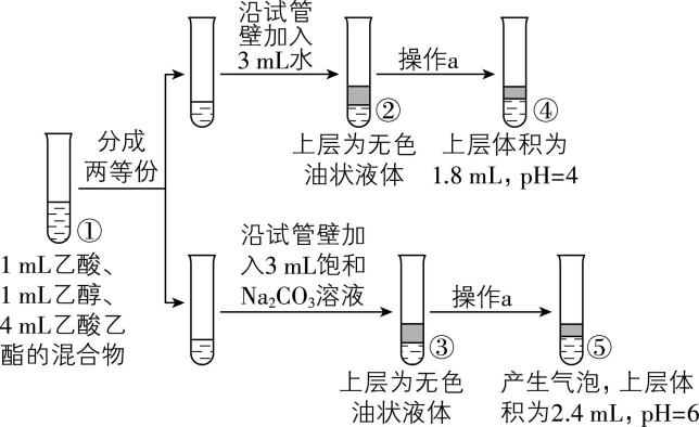 试题资源网 https://stzy.com