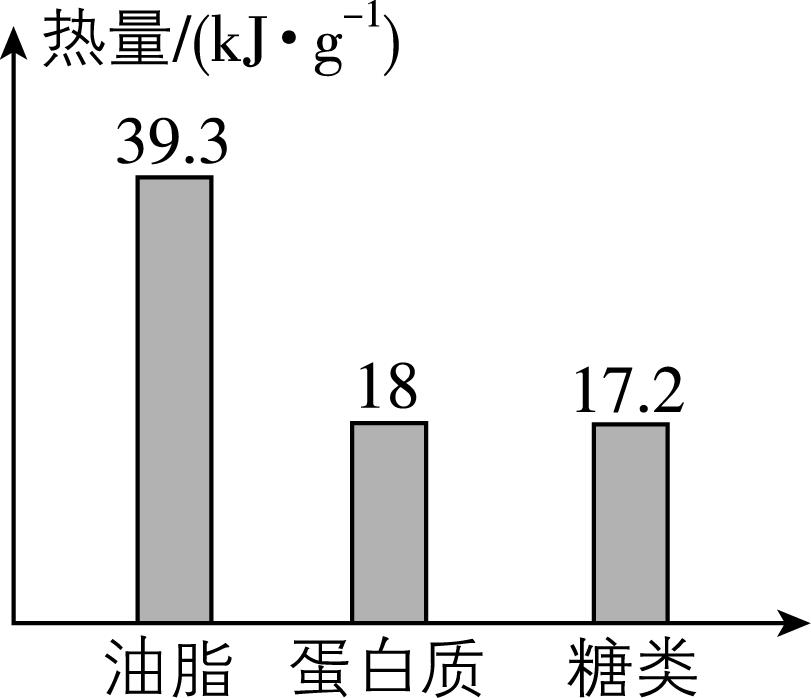 试题资源网 https://stzy.com
