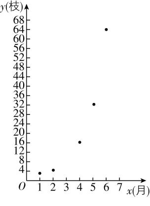 试题资源网 https://stzy.com