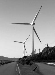 试题资源网 https://stzy.com