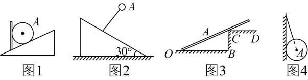 试题资源网 https://stzy.com