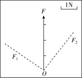 试题资源网 https://stzy.com
