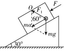 试题资源网 https://stzy.com