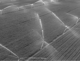 试题资源网 https://stzy.com