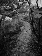 试题资源网 https://stzy.com