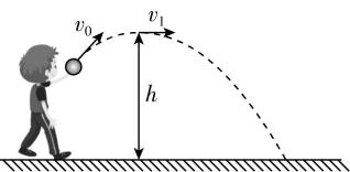 试题资源网 https://stzy.com