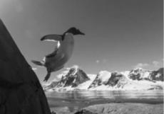 试题资源网 https://stzy.com