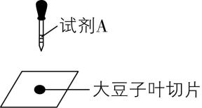 试题资源网 https://stzy.com