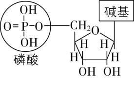试题资源网 https://stzy.com