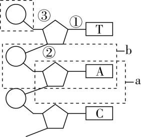 试题资源网 https://stzy.com