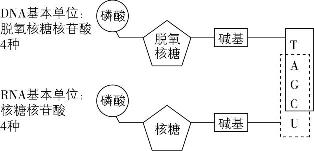 试题资源网 https://stzy.com