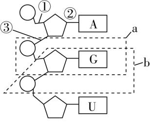 试题资源网 https://stzy.com