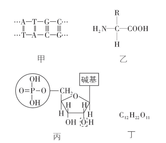 试题资源网 https://stzy.com