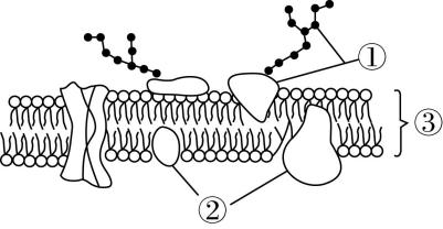 试题资源网 https://stzy.com