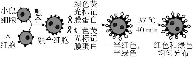 试题资源网 https://stzy.com
