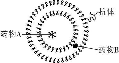 试题资源网 https://stzy.com