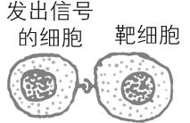 试题资源网 https://stzy.com