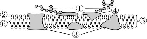 试题资源网 https://stzy.com