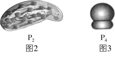 试题资源网 https://stzy.com