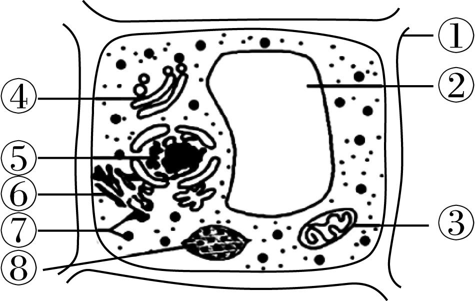 试题资源网 https://stzy.com