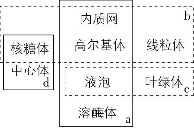 试题资源网 https://stzy.com