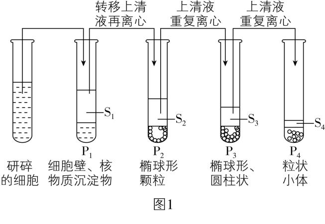 试题资源网 https://stzy.com
