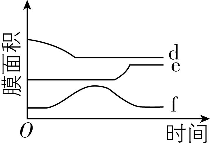 试题资源网 https://stzy.com