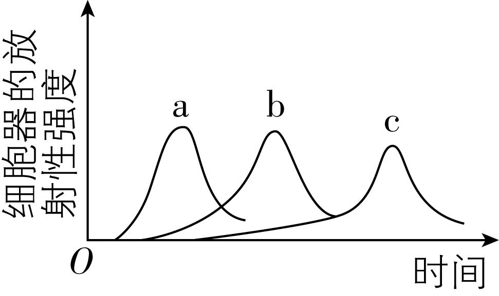 试题资源网 https://stzy.com