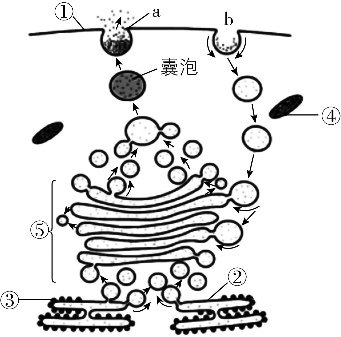 试题资源网 https://stzy.com