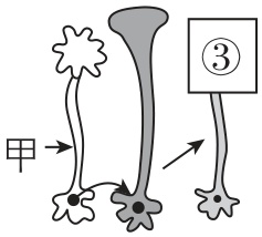 试题资源网 https://stzy.com