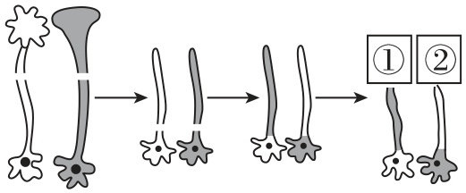 试题资源网 https://stzy.com