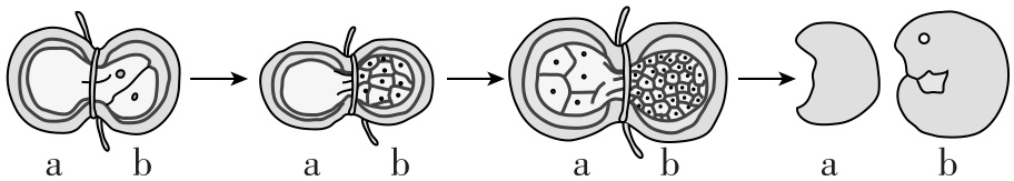 试题资源网 https://stzy.com
