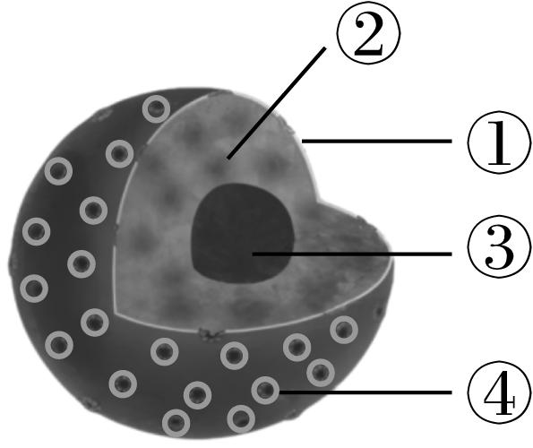 试题资源网 https://stzy.com