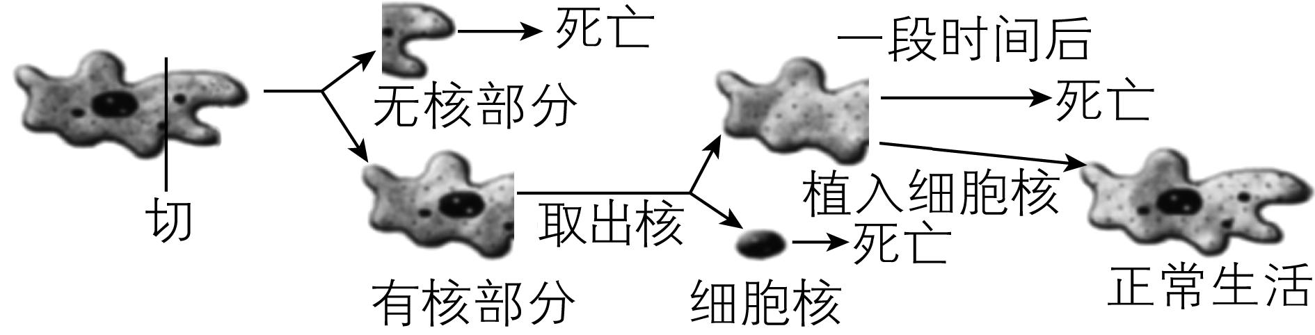 试题资源网 https://stzy.com