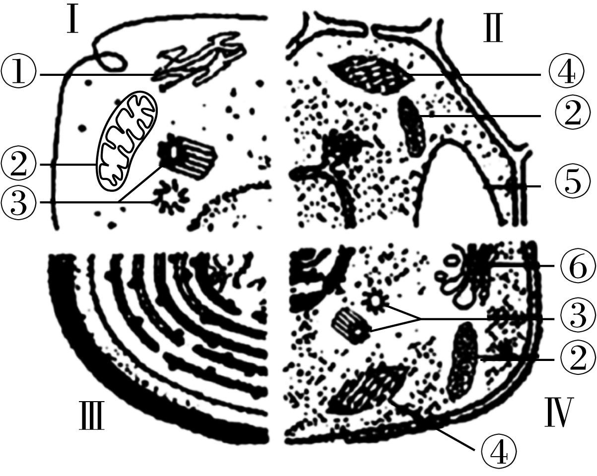 试题资源网 https://stzy.com