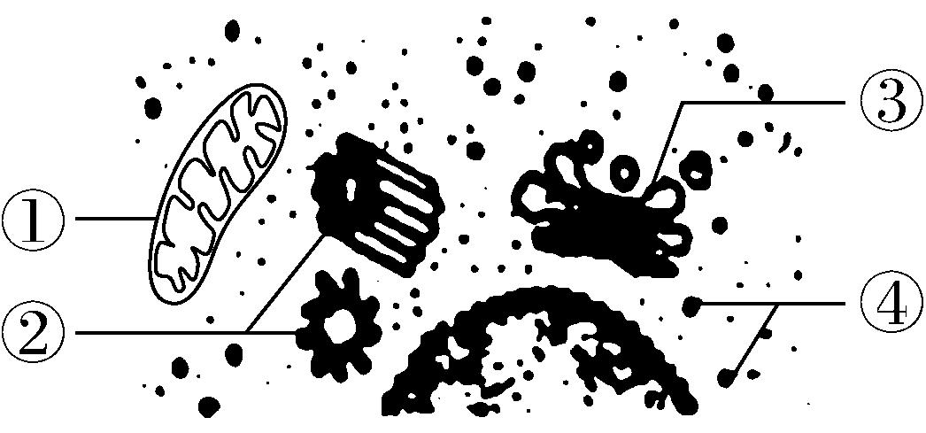 试题资源网 https://stzy.com