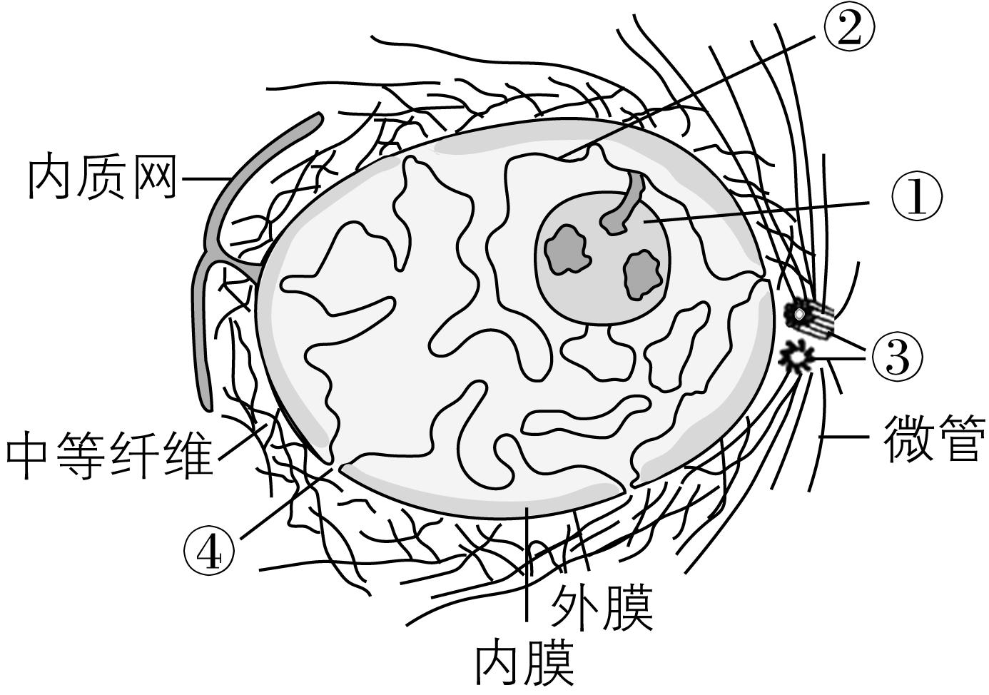 试题资源网 https://stzy.com