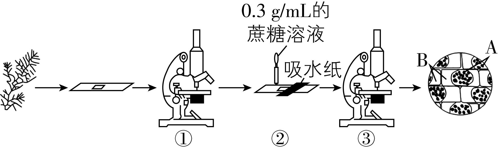 试题资源网 https://stzy.com