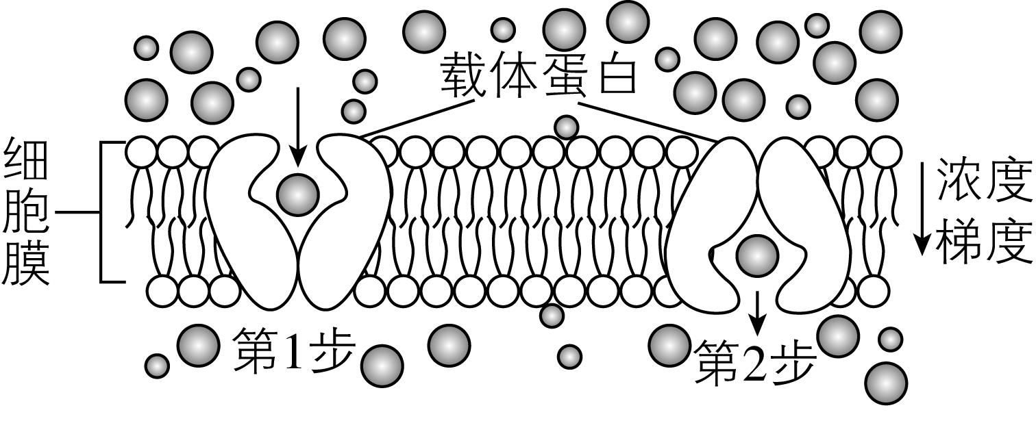 试题资源网 https://stzy.com