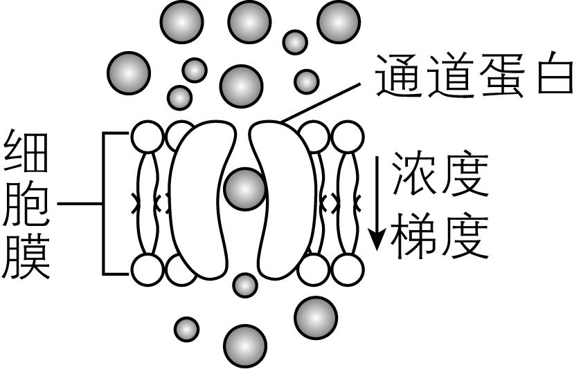 试题资源网 https://stzy.com