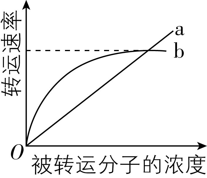 试题资源网 https://stzy.com