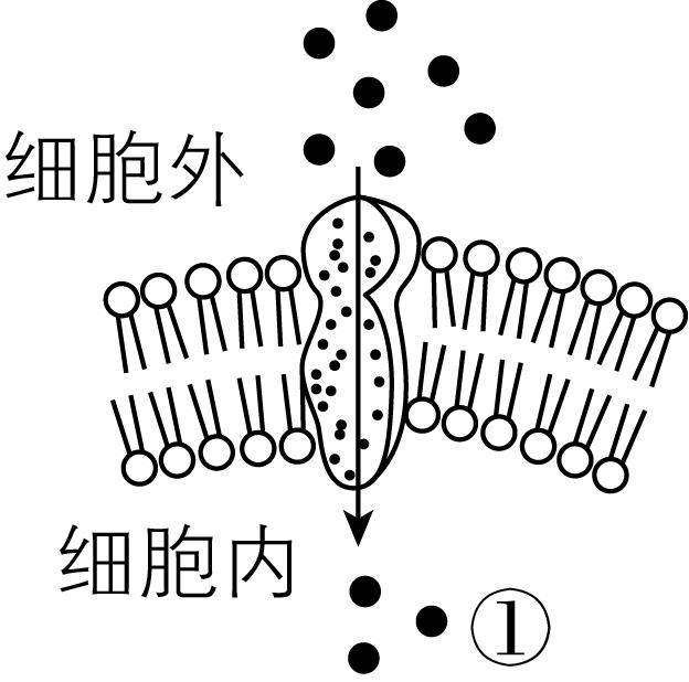 试题资源网 https://stzy.com