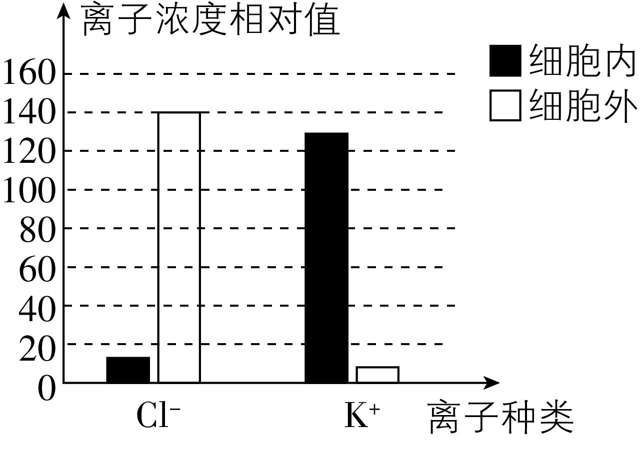 试题资源网 https://stzy.com