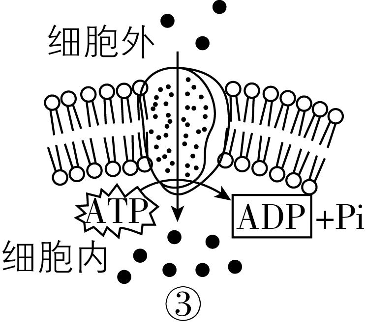 试题资源网 https://stzy.com